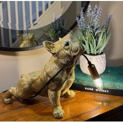 French Bulldog Table / Desk Lamp - Gold Colour - H28cm x L35cm