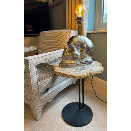 Skull Table / Desk / Bedside Lamp