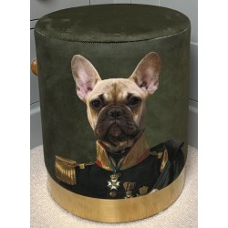 Quirky Stool - French Bulldog Vintage Military Uniform
