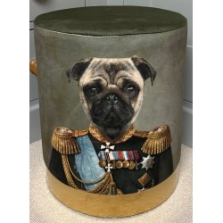Quirky Stool - Pug Dog wearing Vintage Military Outfit