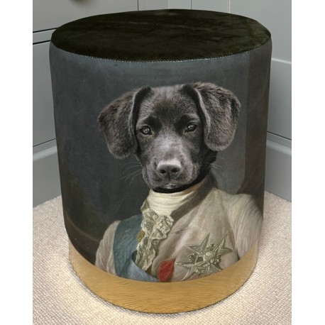 Quirky Stool - Labrador Dog in Vintage Clothing - Green Velvet Gold Base Gold Base