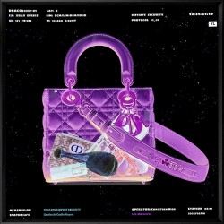 'X Ray Handbag 1' - Framed Artwork - 60cm x 60cm