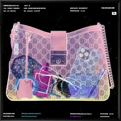 'X Ray Handbag 3' - Framed Artwork - 60cm x 60cm