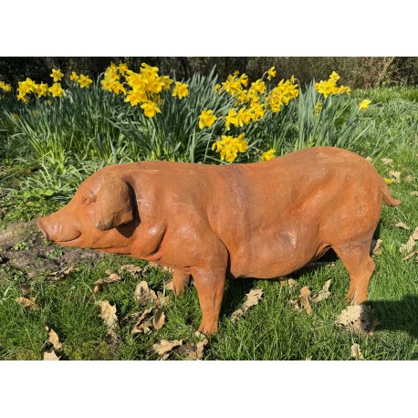 Large Cast Iron Garden Sculpture - Standing Pig - 90cm Long