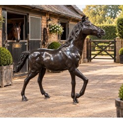 Large Bronze Garden Sculpture - Walking Horse - 193cm Long